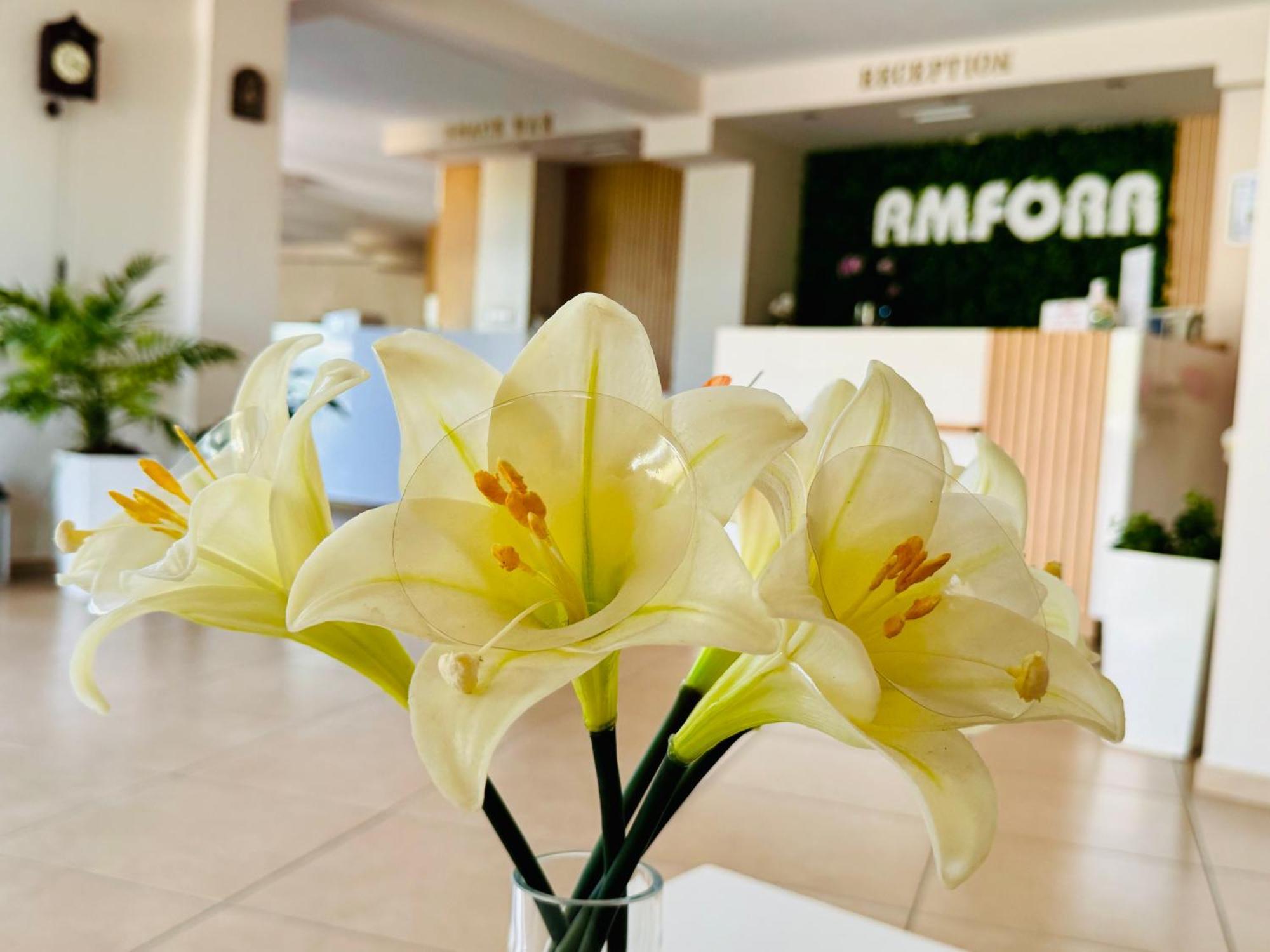 Hotel Amfora Святые Константин и Елена Экстерьер фото
